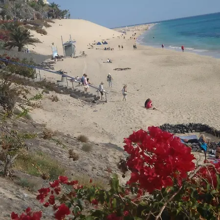 Tajinaste Sol * Morro Jable (Fuerteventura)